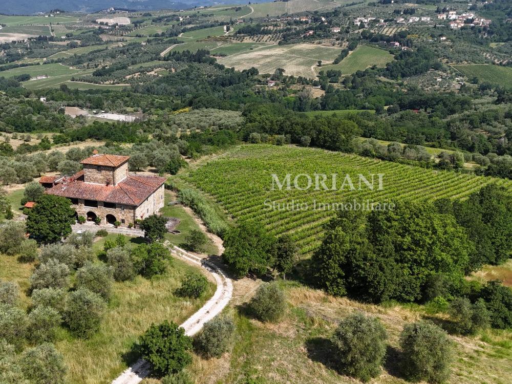 PODERE IL PERACCIO - VISTA