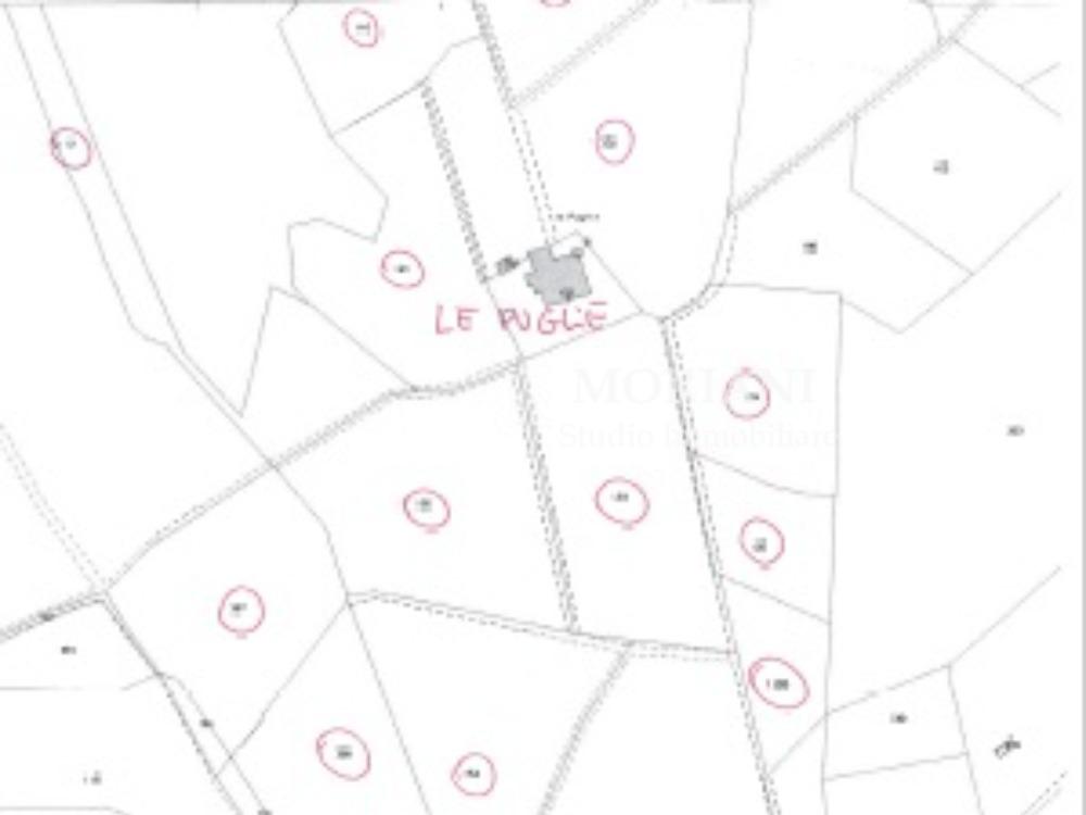 PODERE IL PERACCIO - MAPPA LE PUGLIE