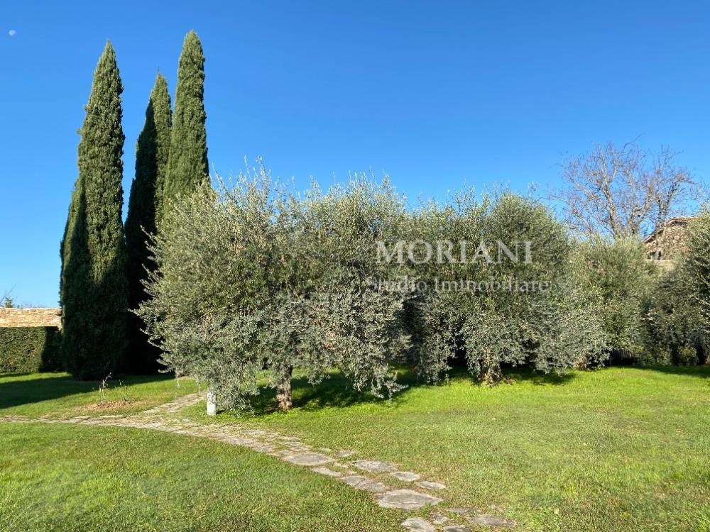 Paradiso - giardino condominiale